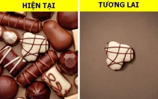 Những loại thực phẩm quen thuộc có nguy cơ biến mất vì biến đổi khí hậu!