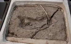 Tìm thấy dấu chân con người lâu đời nhất ở Chile