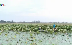Đồng Tháp đón nhận cái mới để phát triển