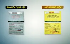 Triển vọng thị trường bảo hiểm Việt Nam