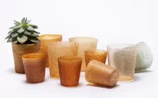 Vỏ tôm có thể giảm ô nhiễm rác thải nhựa