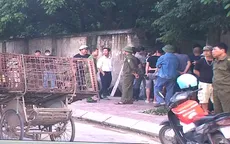 Công an bắt giữ đàn chó cắn bé trai 7 tuổi tử vong