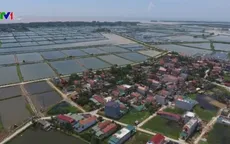 Ninh Bình phát triển kinh tế bãi ngang ven biển