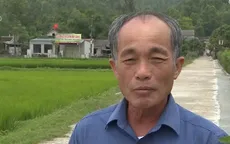 Trưởng thôn tự ý bán lúa giống hỗ trợ dân