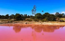 Bí ẩn hồ nước ở Australia bỗng biến thành màu hồng