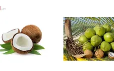 Tiềm năng bán đặc sản trên trang thương mại điện tử