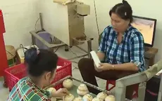Rào cản đối với các doanh nghiệp địa phương bán hàng thương mại điện tử