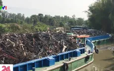Phát hiện hàng nghìn tấn phế liệu nghi nhập lậu tại Đồng Tháp