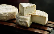 Đức thu hồi pho mát của Pháp do lo ngại khuẩn E.coli