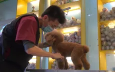 Thị trường dịch vụ thú cưng “bùng nổ” tại Trung Quốc