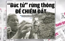 Mẹ thiên nhiên kêu cứu: Một dòng sông "qua đời", một rừng thông "tử nạn"