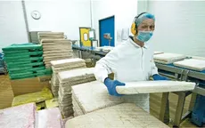 Cơ hội cho các nước xuất khẩu cá thịt trắng