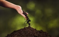 Dịch vụ tang lễ sinh thái ở Australia