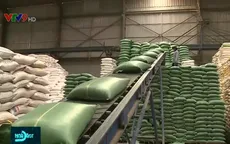 Gạo Việt trước thay đổi chính sách nhập khẩu từ Philippines