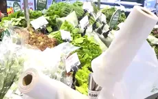 Túi vi sinh liệu có thực sự thân thiện với môi trường?