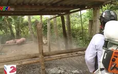 Cà Mau ra quân lập các chốt, trạm kiểm soát dịch tả lợn châu Phi