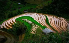 Ruộng bậc thang Mù Cang Chải mùa nước đổ qua góc máy của nghệ sỹ trẻ