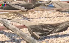 Cá làng bè lại chết trắng trên sông La Ngà, Đồng Nai