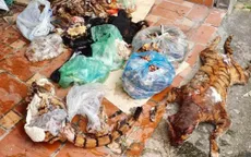 Thái Nguyên: Thu giữ số lượng lớn động vật và xương động vật hoang dã