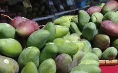 Khai mạc Tuần lễ xoài Sơn La tại miền Bắc