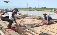Công an điều tra nguyên nhân gần 340 tấn cá bè bị chết trên sông La Ngà