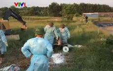 Hà Tĩnh xuất hiện dịch tả lợn châu Phi