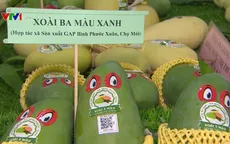 An Giang xuất khẩu lô xoài đầu tiên sang Mỹ