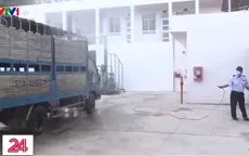 TP.HCM: Siết chặt các cửa ngõ ngăn dịch tả lợn châu Phi