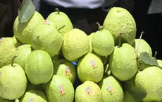 Hà Nội: 780 cửa hành kinh doanh trái cây đáp ứng đủ điều kiện