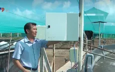 Giá điện tăng, người nuôi tôm khó khăn chất chồng