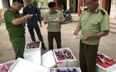 Lạng Sơn bắt giữ gần 3.800 kem hương vị trái cây nhập lậu từ Trung Quốc