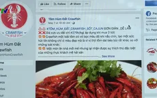 Mua bán công khai tôm hùm đất trên Internet