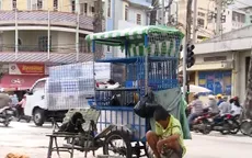 Ông lão nhặt ve chai và bầy chó tật nguyền