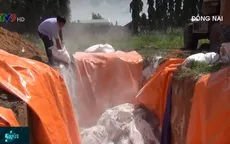 Dịch tả lợn châu Phi tiến sát về TP.HCM