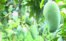 Làm gì để phát huy vai trò của doanh nghiệp trong xây dựng, quản lý và phát triển sản phẩm được bảo hộ?