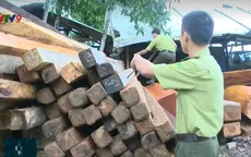 “Cơn sốt” gỗ làm lồng bè thủy sản tại khu vực Nam Trung Bộ