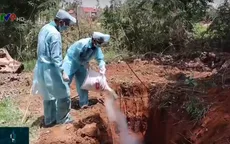 Phát hiện thêm 4 ổ dịch tả lợn châu Phi tại Bình Phước
