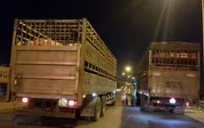 TP.HCM đề xuất lập thêm chốt kiểm dịch tả lợn châu Phi