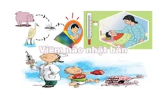 Cảnh báo viêm não Nhật Bản vào mùa dịch