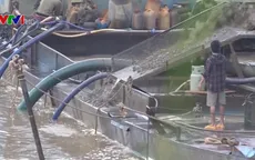 Ba tỉnh liên kết xóa “cát tặc” trên sông Đồng Nai