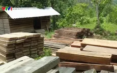 Quảng Bình: Làm rõ việc phát hiện số gỗ lậu tại UBND xã