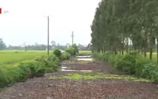 Dòng sông bị “đầu độc” vì ô nhiễm