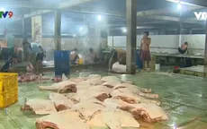 Bạc Liêu tổng kiểm tra các lò giết mổ gia súc