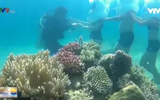 Vietravel giảm giá tour đối với khách thanh toán online tour Nha Trang