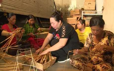 Vừa được xin lỗi, "Nữ hoàng lục bình" đã bị kiến nghị xử lý