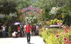 Độc đáo thiên đường hoa lan trên đảo