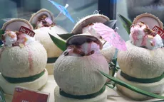 Thưởng thức miễn phí thức uống tại Triển lãm quốc tế Cafe Show Việt Nam