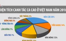 Giá ca cao tăng lên hơn 55 triệu đồng/tấn