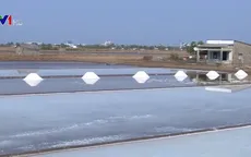 Giá muối tăng cao trở lại