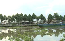 Hậu Giang: Hàng ngàn hộ dân thiếu nước sinh hoạt vì ô nhiễm